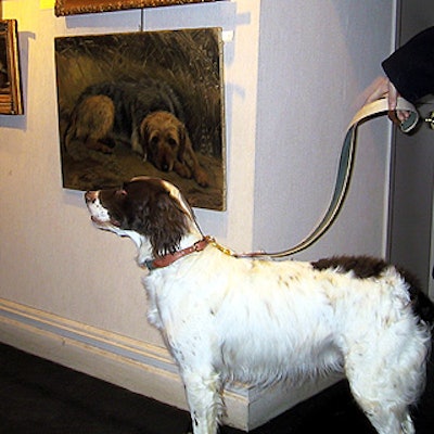 Wallace, a one dog focus group for Bark senior editor Lee Forgotson, checked out the art.