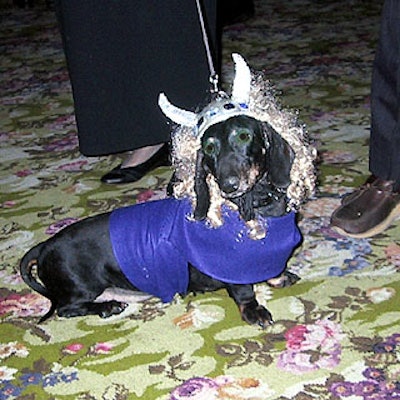 Iris Love's dachshund Ajax--an obvious ham--stole the limelight at Tavern on the Green.