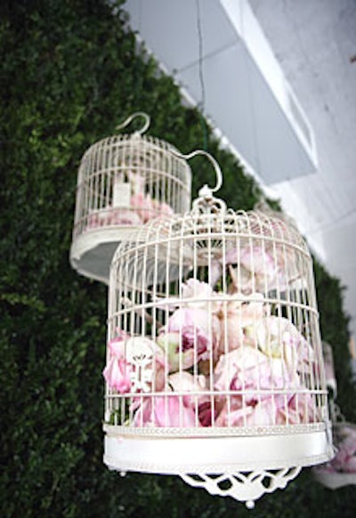 Delicate garden roses sat inside antique white birdcages that hung from the ceiling in front of boxwood hedges. Van Wyck & Van Wyck misted the hedges with water to imitate dew and to bring out a natural garden smell.