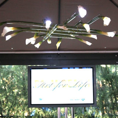 Chandeliers made of calla lilies inserted into clear plexiglass tubes and wired together with LED lights cast a warm glow in each of the 13 bungalows.