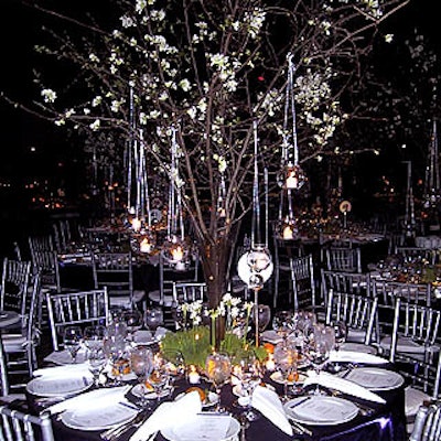 Sung Jung's centerpieces included a bed of woodgrass with small white narcissus and white votive candles. Quince branches towered above, with more white candles inside small glass globes hanging from the branches.