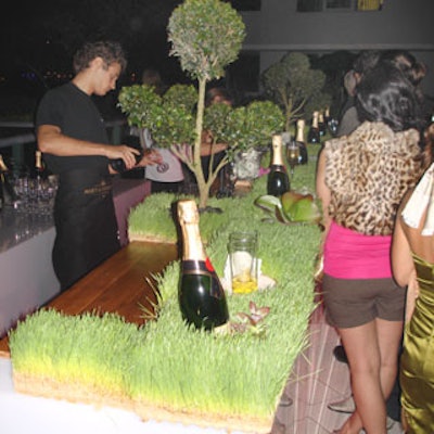 Moët & Chandon was served at a bar covered in wheat grass in the V.I.P. lounge.