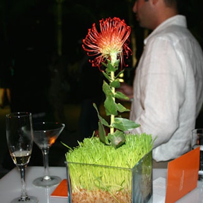 CuisineWorks created the striking floral arrangements for the V.I.P. lounge tables.