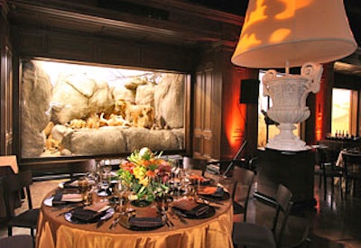 In the African mammal hall amid exhibits, Gulliver-size lamps towered over tables.