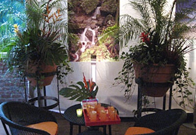 The Puerto Rican-inspired lounge on one of the hotel’s tented terraces featured tropical greens, lush photography from the magazine, and planter’s punch (Level vodka, mango juice, lemon juice, sugar, and a splash of grenadine).