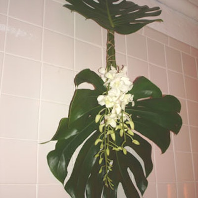 Several hanging displays of monstera leaves with white dendrobium orchids were used to hide holes in a tiled wall adjacent to one of the bars.