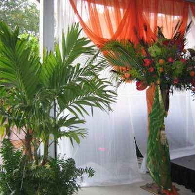 Potted palms provided by Greentree Gardens were placed beside wrought-iron urns wrapped in authentic Indian saris.