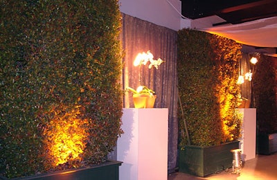 Guests entered the exhibit area though a pathway flanked by hedges and potted orchids.