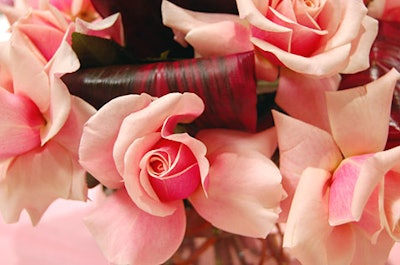 Amaryllis Inc. provided the centerpieces of pink roses and burgundy tea leaves.