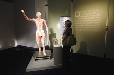 While visitors aren’t allowed to touch thebodies on display, they can opt to hold a kidney, brain, or heart.