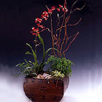 E782disc 01 0312 Decor Poeticplantings 1 152