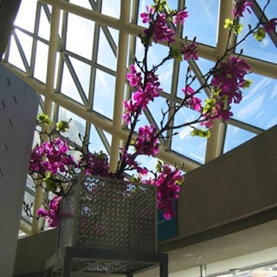 Spring blooms in fuchsia sprouted from raised silver metal boxes in the reception area.