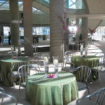 Sprays of orchid blooms in clear heavy candle holders topped kiwi coloured linens on round cafe tables.
