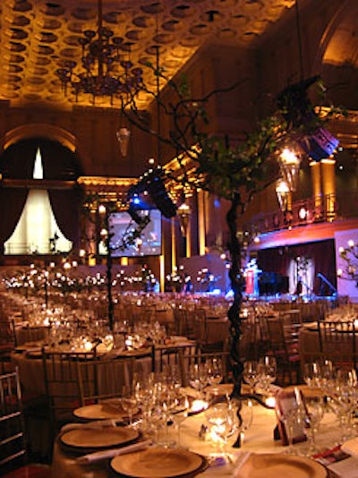 To represent the night's theme, the committee chose live tree centerpieces covered with glass votives.