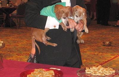 Two pups eyed the organic treats at the Bark Bar during the silent auction.