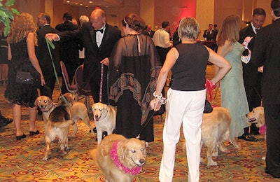 Dogs and their owners mingled in the silent-auction area before dinner.