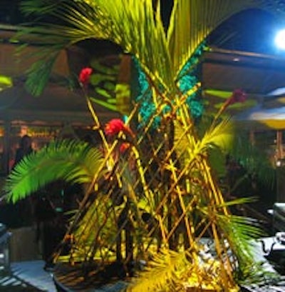 Real & faux vegetation expertly arranged by Eden Planning’s floral department brought the jungle to life.