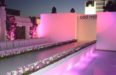 Odd Molly's runway sat atop the Mondrian's pool.