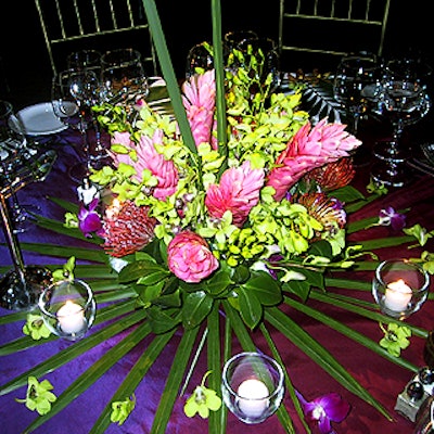 E856sho 01 0329 Leukemiasociety Decor 1 320