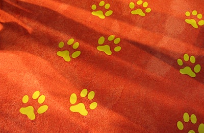 The orange carpet, complete with paw prints.