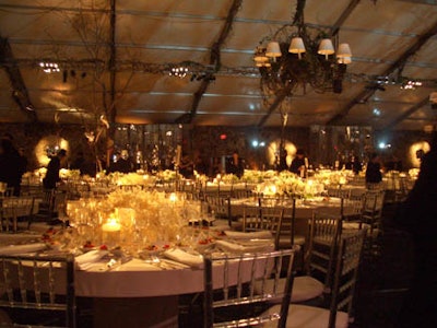 Lighting created shadows from the trees and vine-covered chandeliers.
