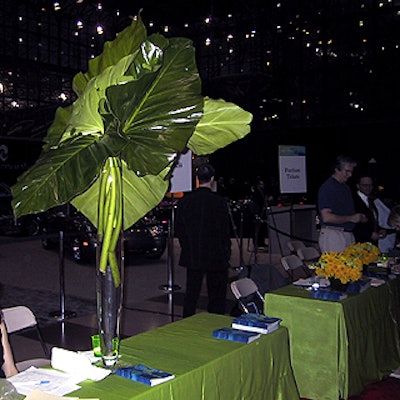 Huge philodendron leaves decorated the check-in tables.