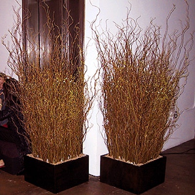 Avi Adler put large arrangements of screw willow branches at various places in Milk Studios.
