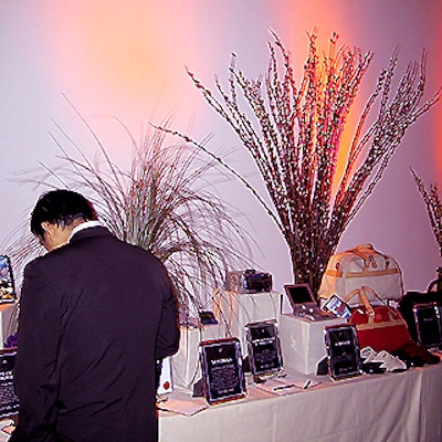 Adler used different types of branches to decorate the tables displaying the silent auction items.