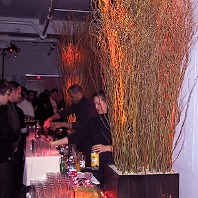 Branches also decorated the bars.