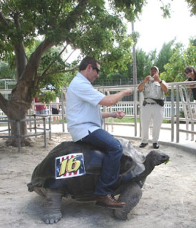 A giant tortoise was among the many animals the Nascar champ interacted with while at Jungle Island.