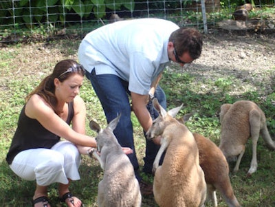 The Biffles spent time with the kangaroos during their visit to Jungle Island.