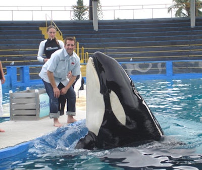 Lolita, one of the Seaquarium's killer whales, jumped up to kiss Biffle.