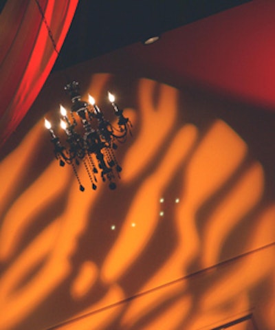 Golden tiger stripes and leopard spots were projected onto walls and fabric draped from the ceiling.