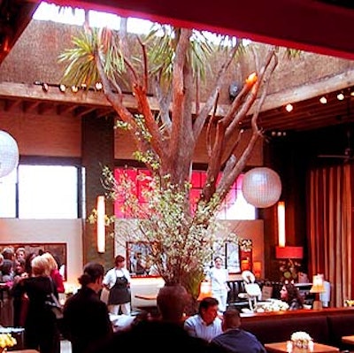 The main dining room at the Park has a huge palm tree in the center, with booth seating surrounding it.