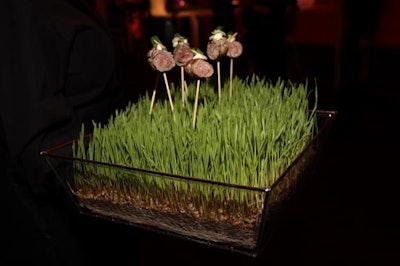 As a tie-in to the location and the event's purpose, one of the hors d'oeuvres from Sonnier & Castle was served on a bed of wheatgrass.