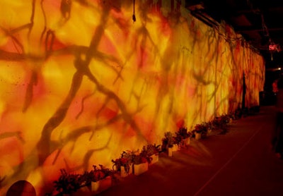 Amber light projections and vases of flowers added warmth to a bare wall.