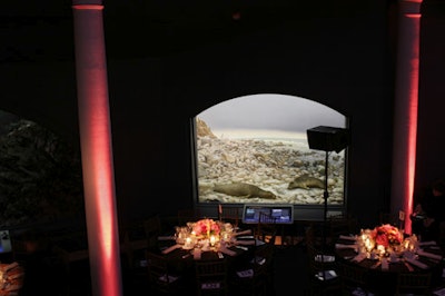 The museum's signature dioramas surrounded guests during dinner.