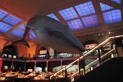 The museum's blue whale hovered over guests.