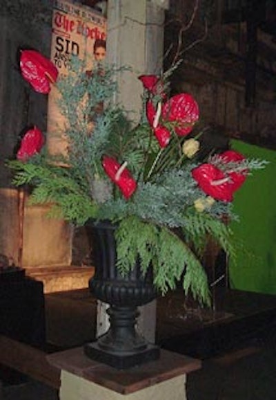 Absolutely Flowers provided floral arrangements in large urns.