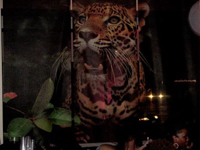 A preexisting image of a jaguar in the showroom lent itself to the event's theme.