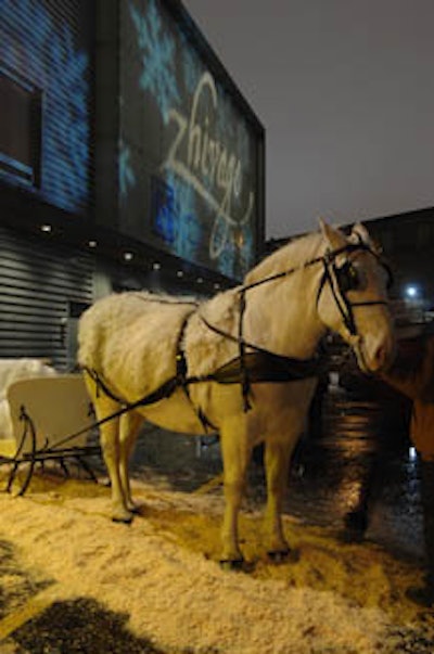 A pair of horse-drawn sleighs stationed outside the entrance set the tone for CTV's party.