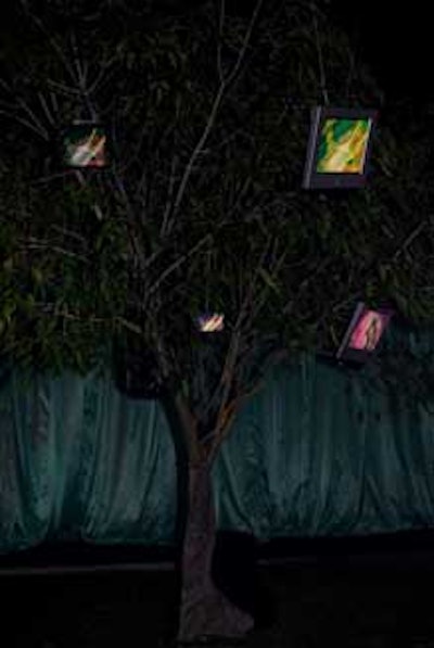 At Fox, flat-screen TVs hung from two trees, showing a compilation video of casino graphics, black-and-white burlesque photos, and Fox Sports footage.