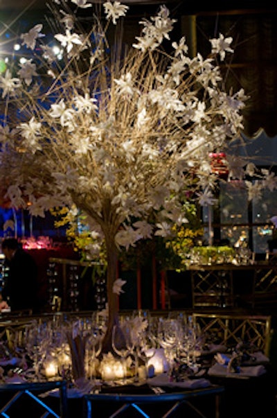 The white orchid arrangement by Ovando for the Thom Felicia and Safavieh setting was reminiscent of a winter tree.