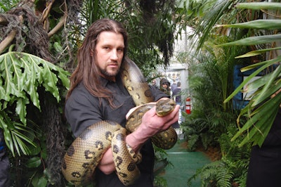 A green anaconda awaited guests in the DWS jungle tent.