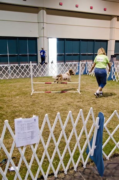 AKC/Eukanuba National Championship