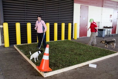 AKC/Eukanuba National Championship