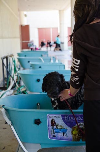 AKC/Eukanuba National Championship