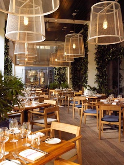The Dutch's outdoor patio has large, suspended lighting and greenery that runs up the walls.