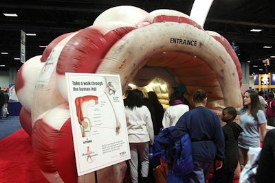 Attendees took a walk through the human leg at the DePuy Orthopaedics exhibit.