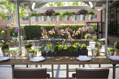 A fresh take on outdoor dining.